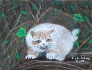 "Scaredy Cat"
