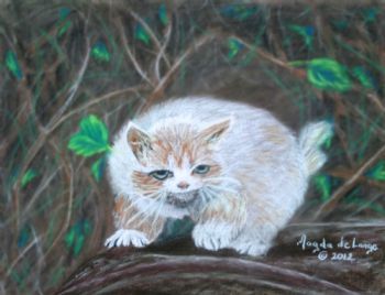 "Scaredy Cat"