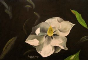 "Magnolia"