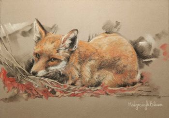 "The Naughty Fox"