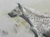 "The Spotted Hyena"