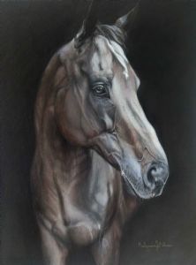 "Horse Called Ted"