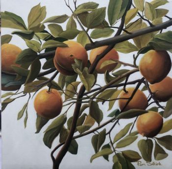 "Oranges and Lemons"