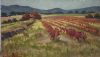 "Paarl Farmstead and Vineyard Scene"