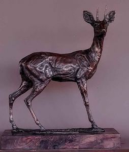 "Steenbokkie "
