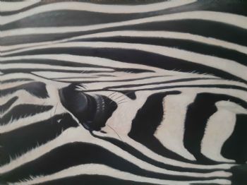 "Zebra Collection Nr 2"