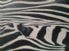 "Zebra Collection Nr 2"