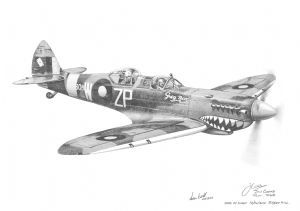"Spitfire T-308 Grey Nurse"