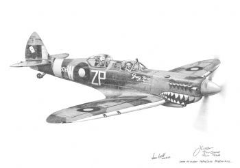 "Spitfire T-308 Grey Nurse"