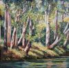 "River Edge Kakadu National Park Australia"