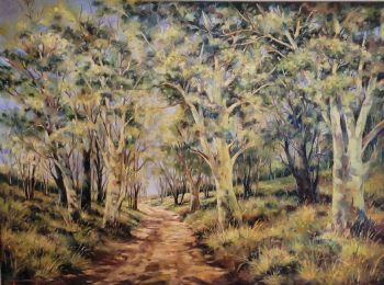 "Fever Trees near Pafuri"