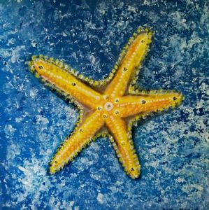 "Yellow Starfish "