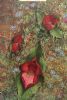 "Flowers Of Namaqua 2"