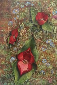 "Flowers Of Namaqua 2"