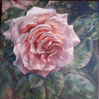 "Garden Rose"