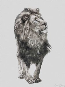 "Majestic Lion"