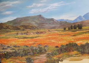 "Namaqualand"