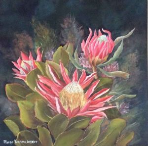 "Proteas"