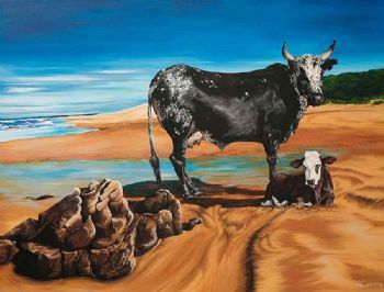 "Nguni on Beach"