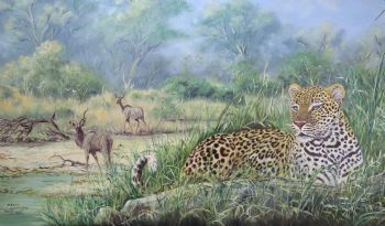 "The Resting Leopard"