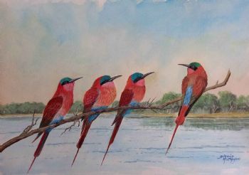 "Carmen Bee Eaters"