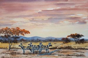 "Wild Dogs "