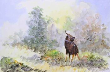 "Nyala "