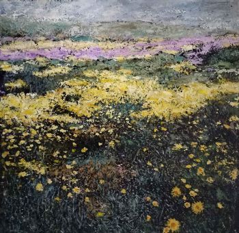 "Namaqualand Impressions 5"