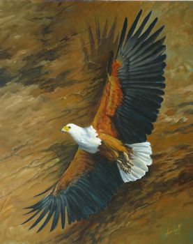 "African Fish Eagle - Soaring Wonder"