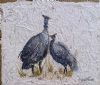 "Guinea Fowls "