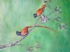 "Paradise Flycatchers "