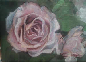 "Pink Rose"