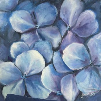 "Hydrangea 2"