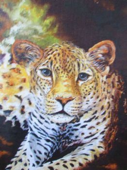 "African Leopard  Giclee Print"