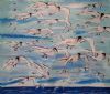 "Arctic Tern Party"