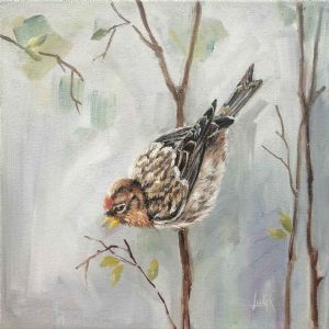 "Redpoll I"