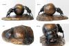 "Flightless Dung Beetles of Addo Elephant Park"