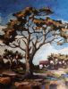 "Autumn Tree Scape"