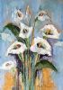 "Arum Lilies 1"