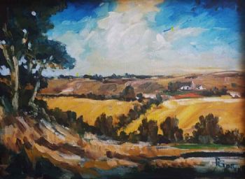 "Overberg Wheat Field"