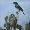 "Sunbird 3"