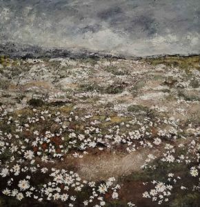 "Namaqualand 4"