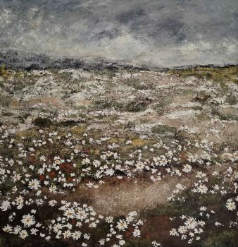 "Namaqualand 4"