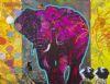 "African Wild Elephant"