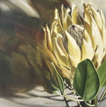 "Yellow Protea"