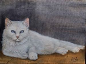 "Blue eyes tranquility"