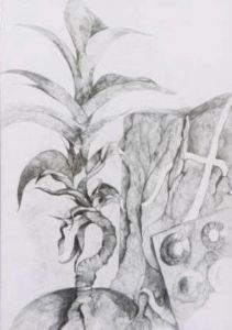 "Growth"