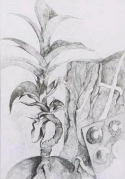 "Growth"