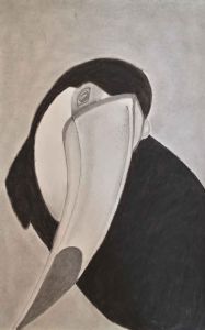 "Toucan "