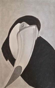"Toucan "